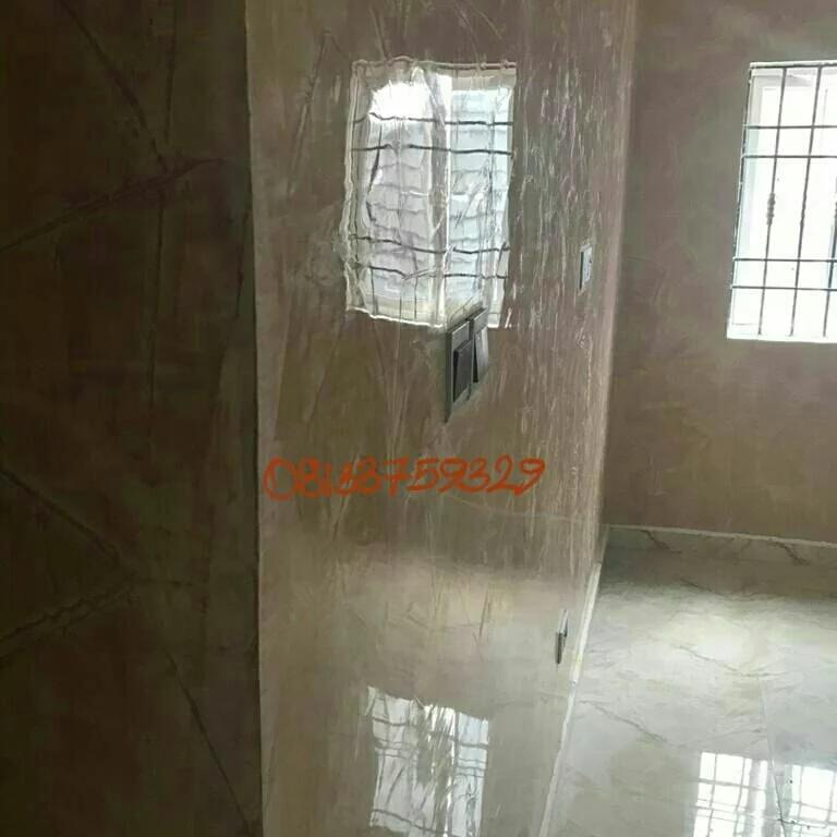 Italian Stucco decorative wall finish texture